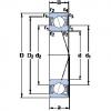 ตลับลูกปืน S7008 ACD/HCP4A SKF #1 small image